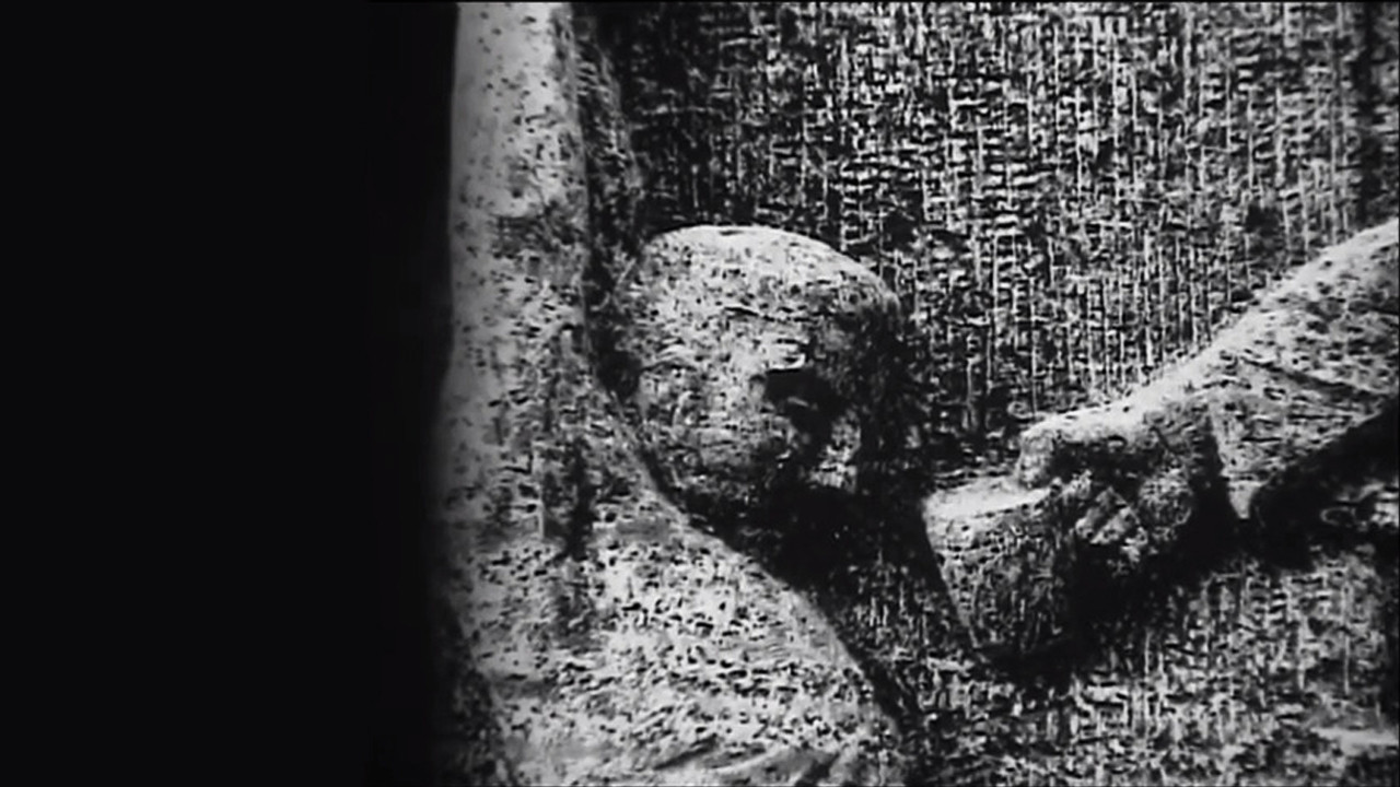 Speech after the Execution backdrop