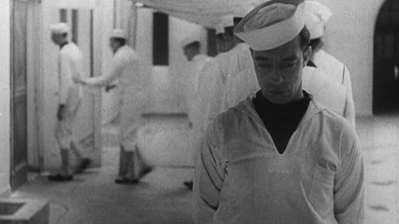 Tars and Stripes backdrop