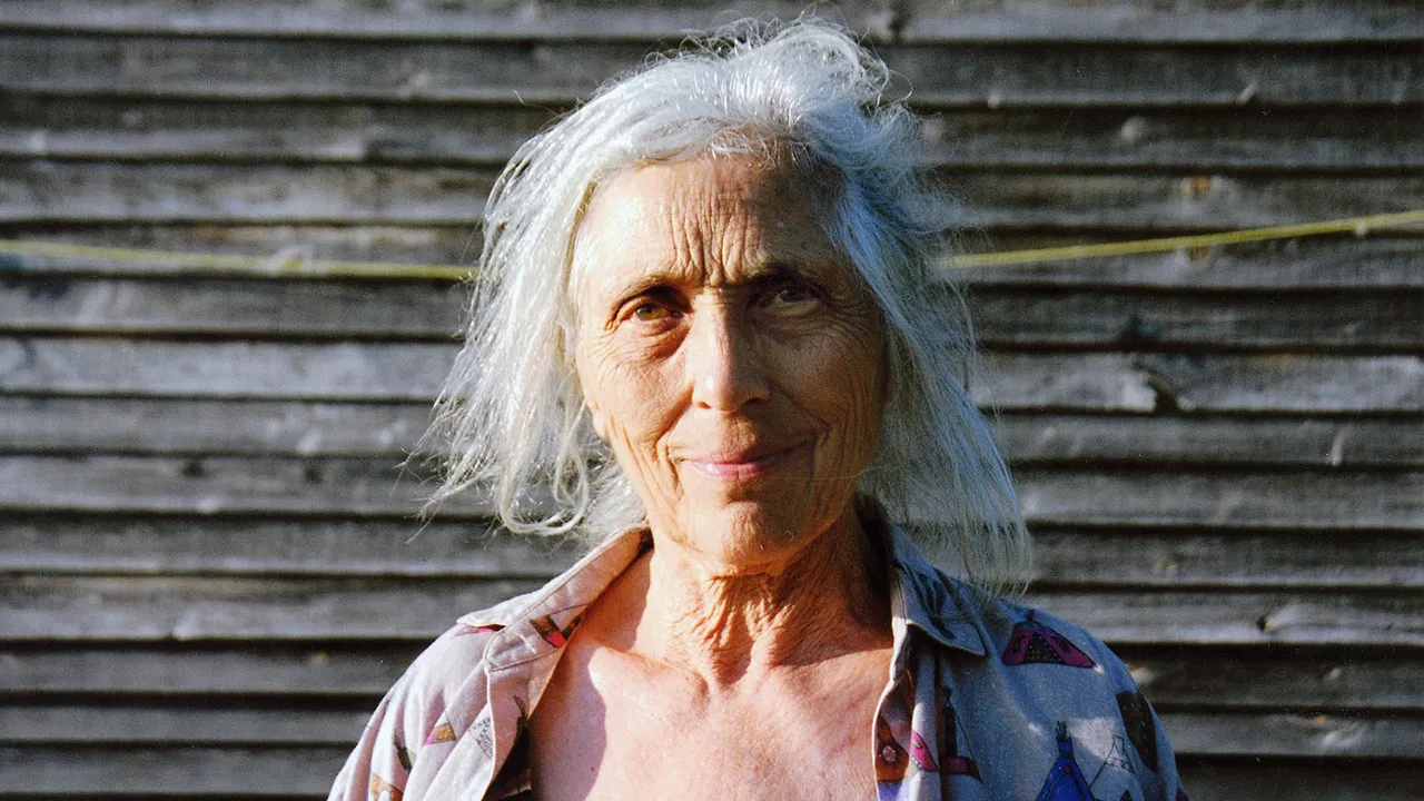 Leaving Home, Coming Home: A Portrait of Robert Frank backdrop