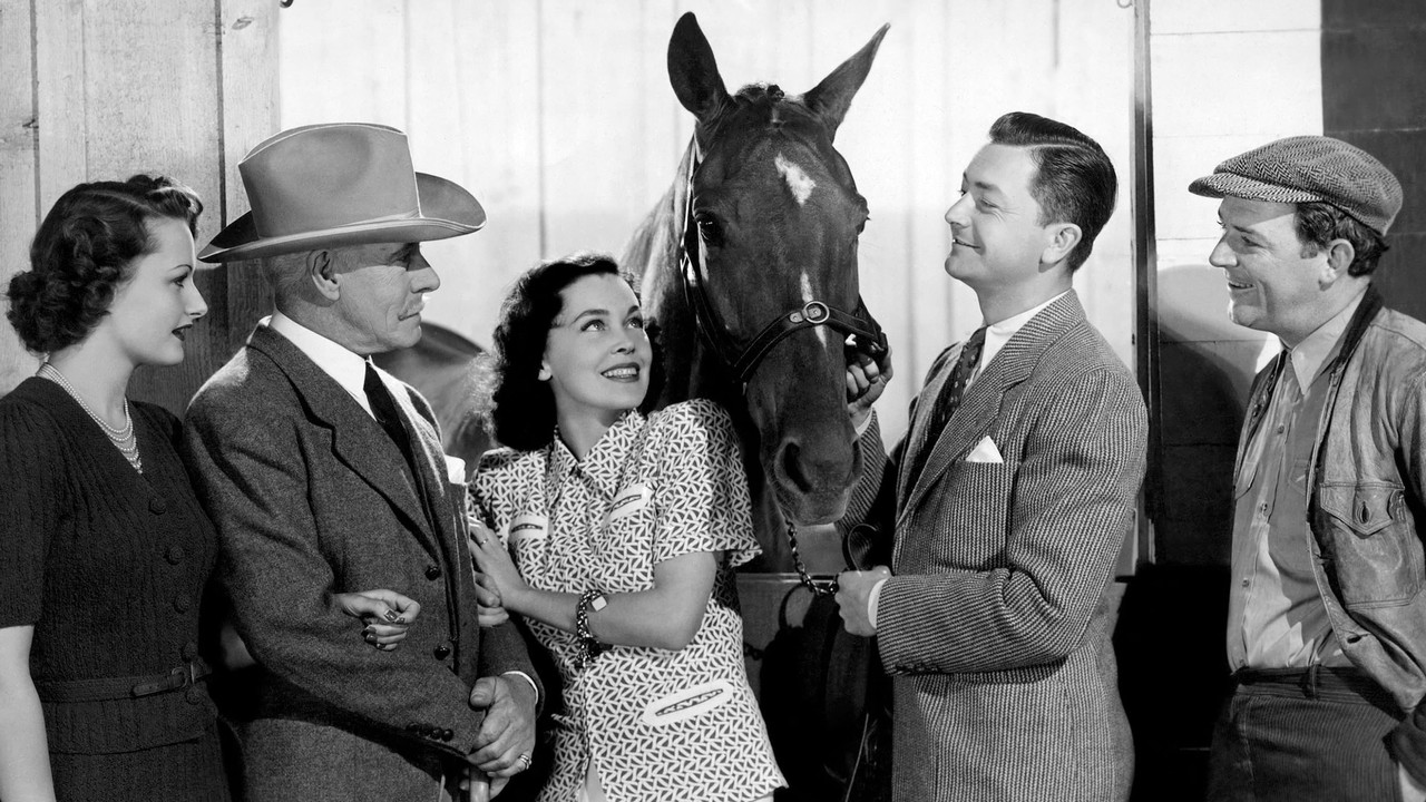 Sporting Blood backdrop