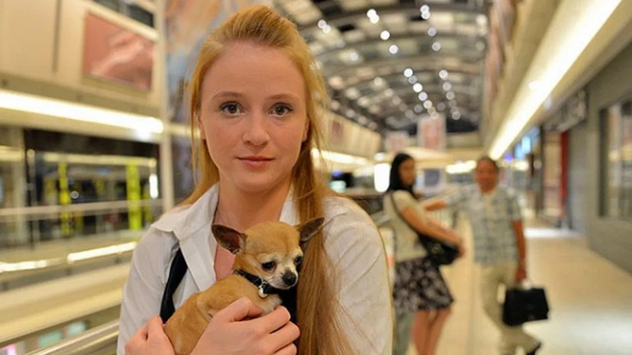 Definice lásky backdrop