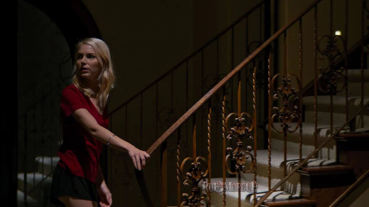 616 Wilford Lane backdrop