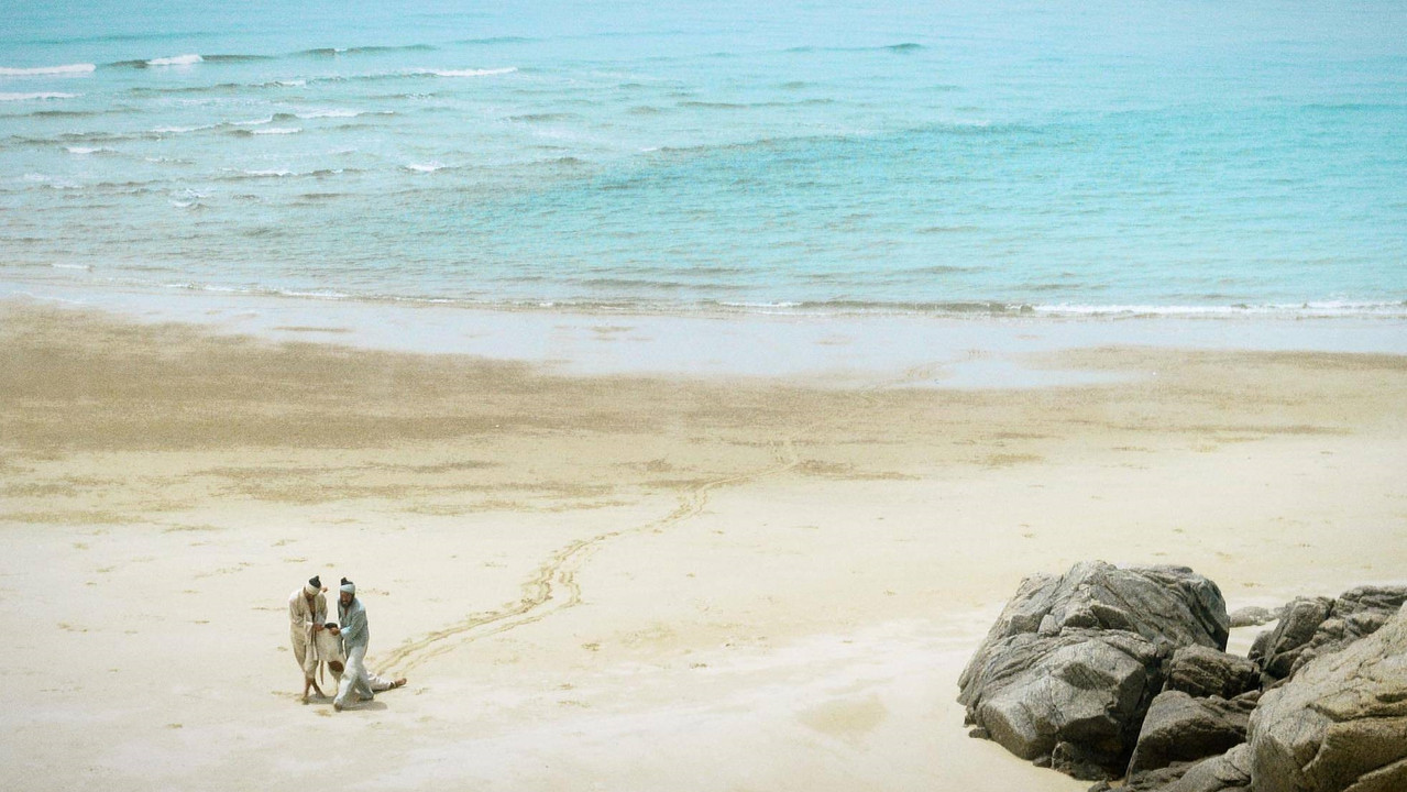 Isle of Snakes backdrop