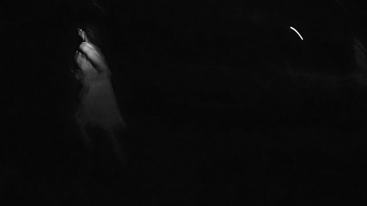 Moonlight Valley backdrop