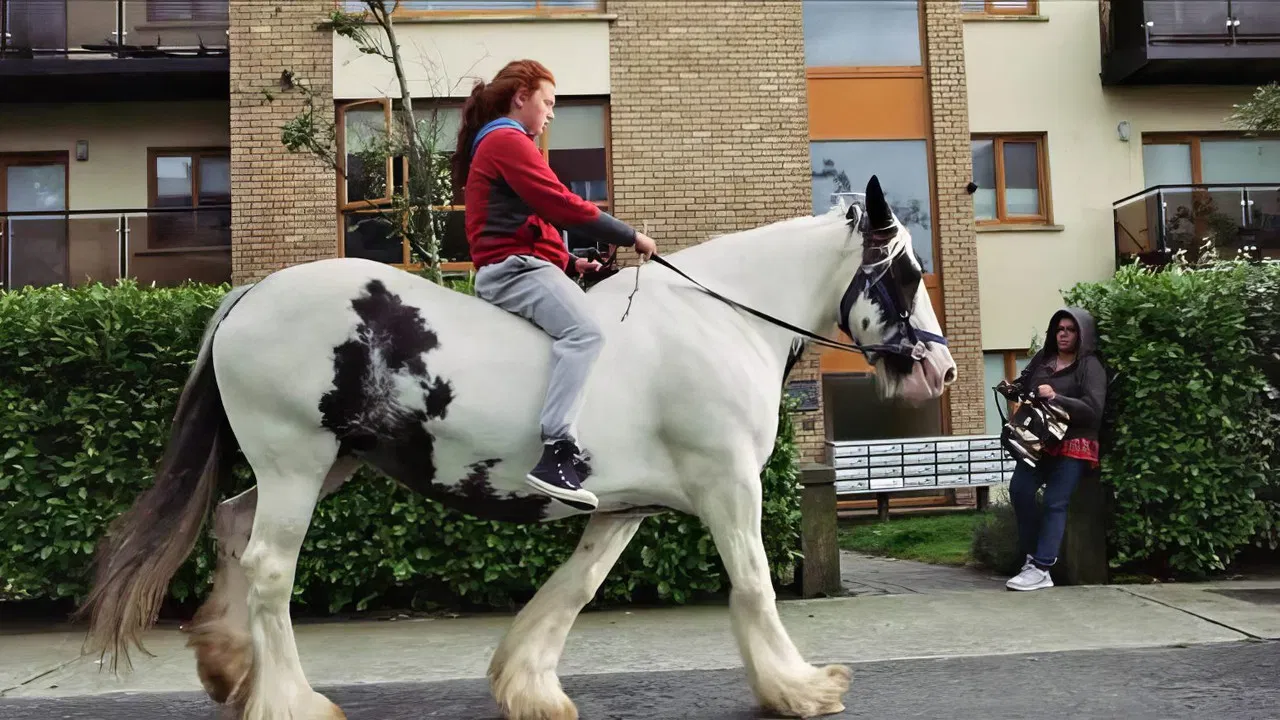 Loving Lorna backdrop