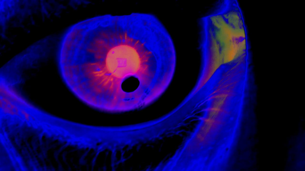 Denomination: Dread backdrop