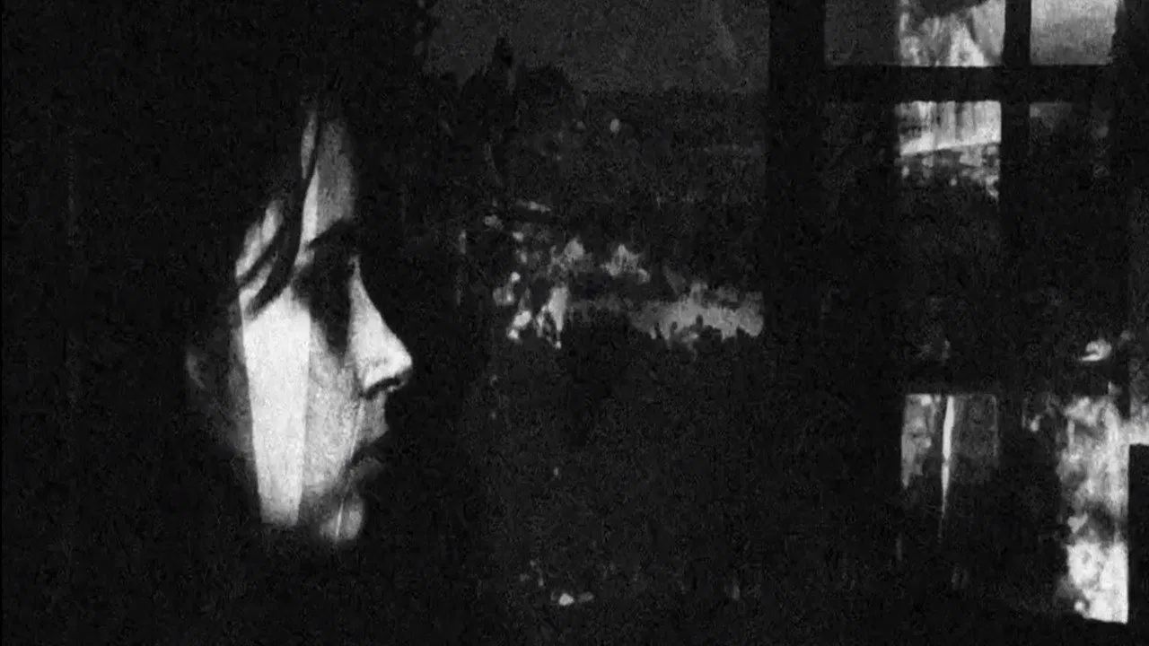 A solitude e outras coisas doces backdrop