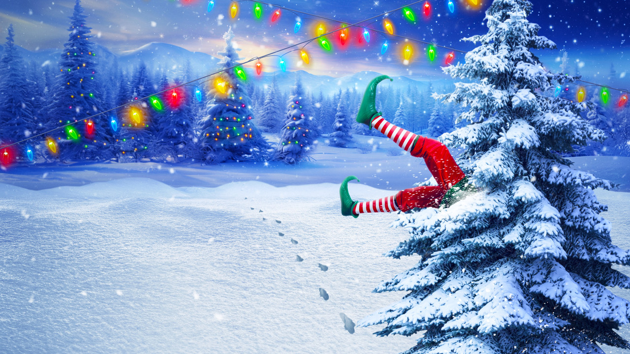 Big Brother Reindeer Games backdrop