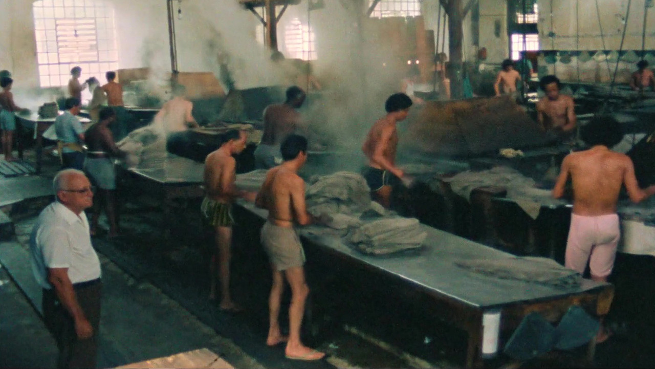 Planeta Fábrica backdrop