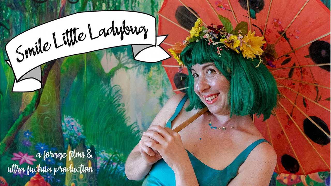 Smile Little Ladybug backdrop