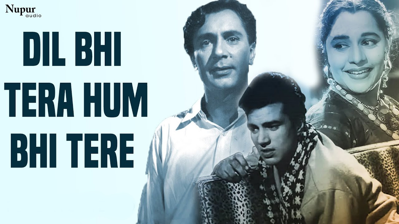 Dil Bhi Tera Hum Bhi Tere backdrop