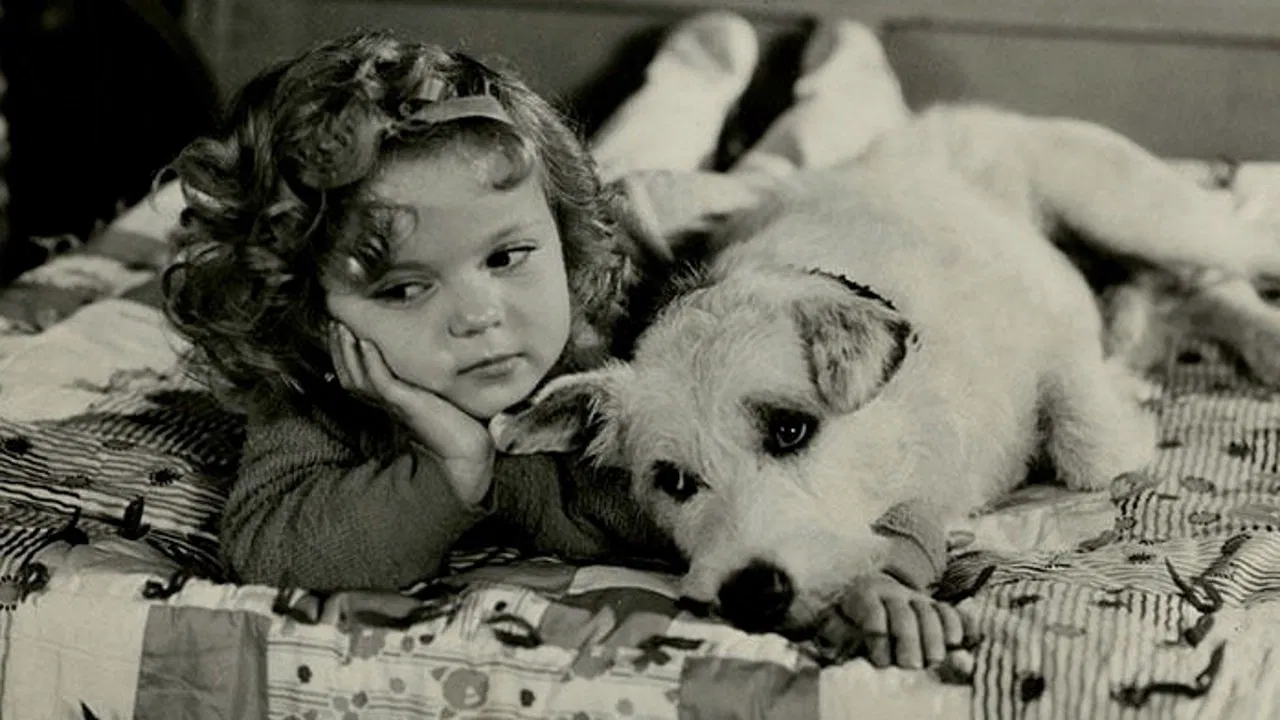 Merrily Yours backdrop