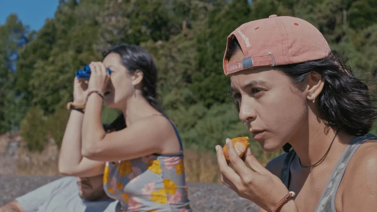 Monkey Bird backdrop