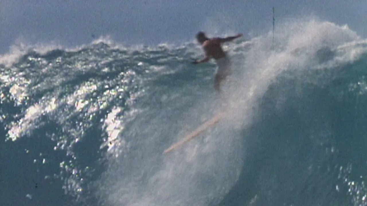 Barefoot Adventure backdrop