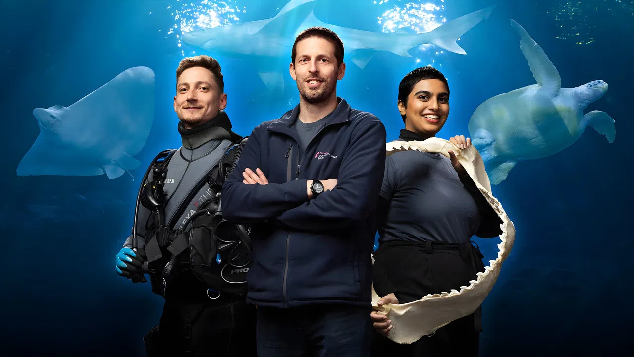 Secrets of the Aquarium backdrop