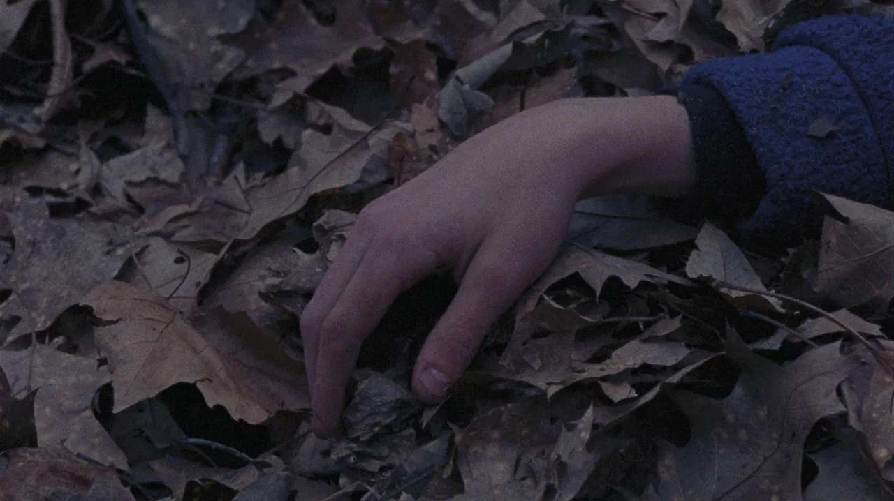 The Danube Rivers backdrop