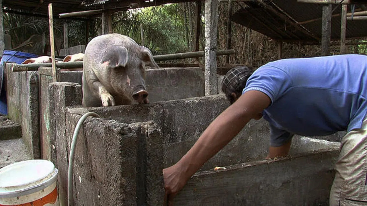 Denok & Gareng backdrop