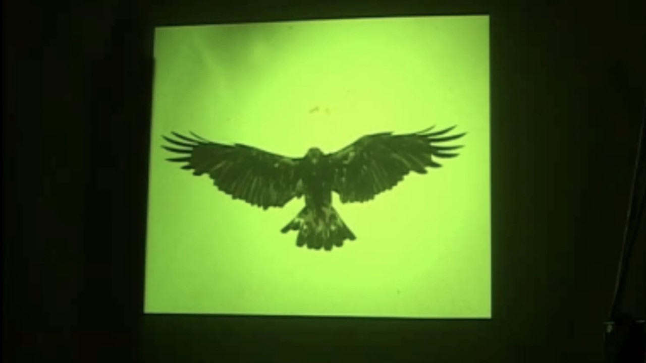 Golden Eagle backdrop