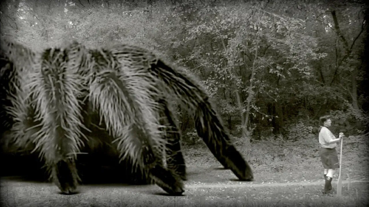 The Giant Spider backdrop