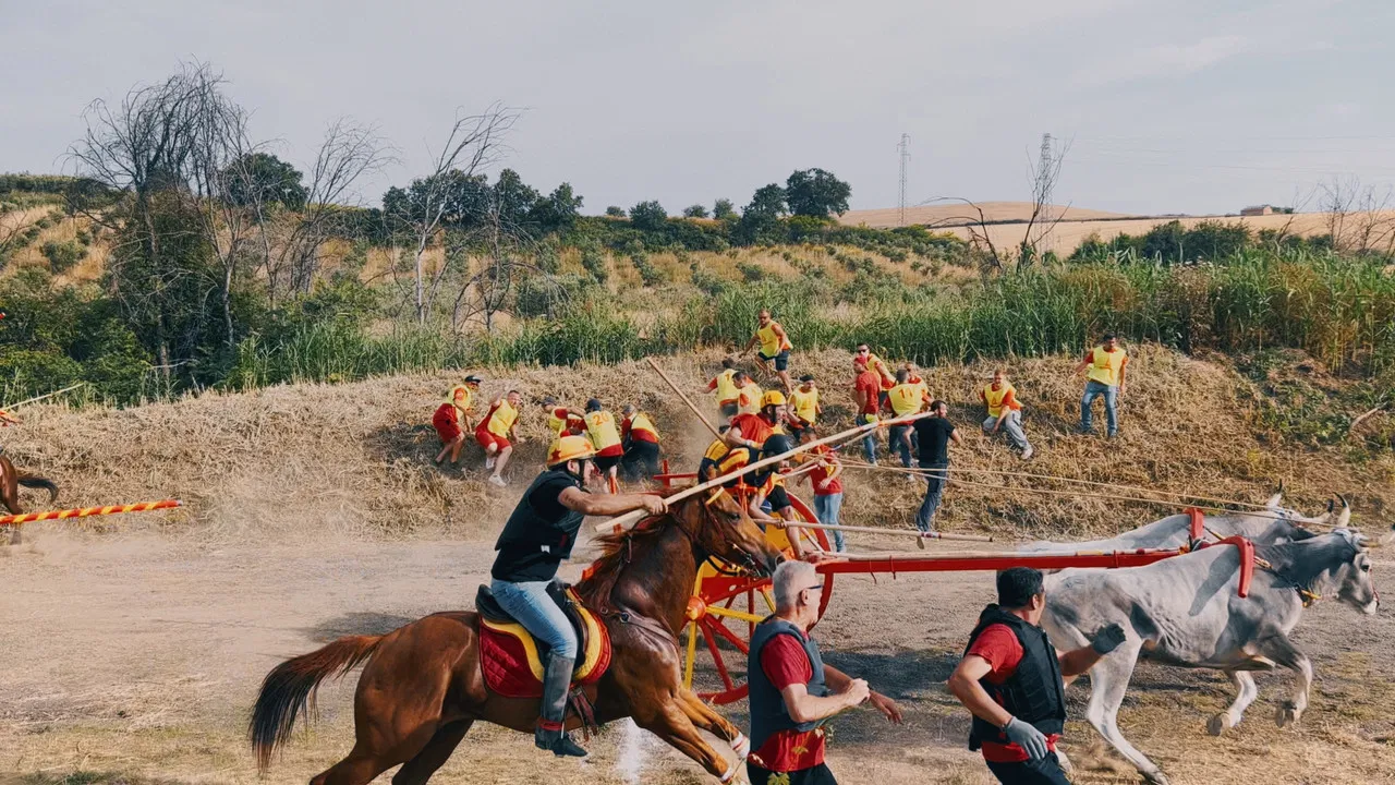 Happy Tropic backdrop