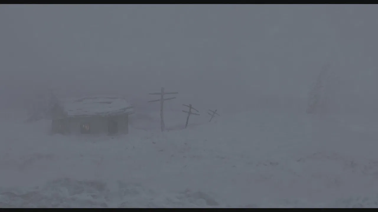 Café Limbo backdrop