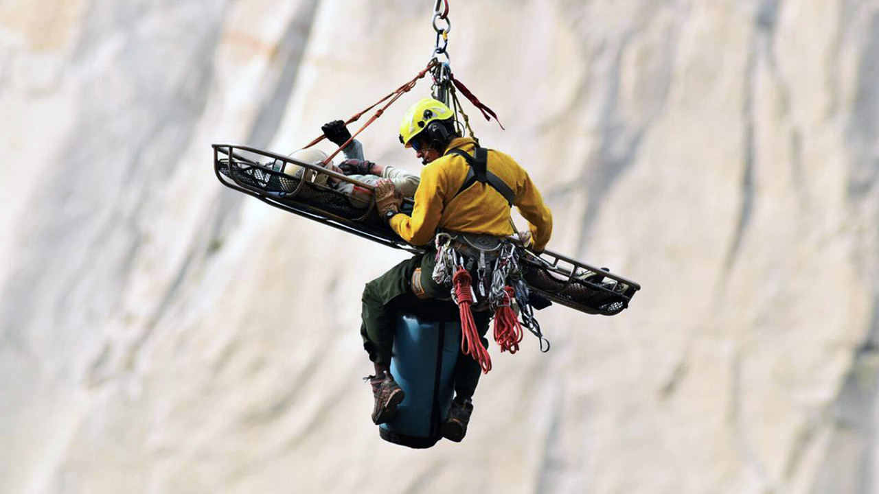 An Accidental Life backdrop