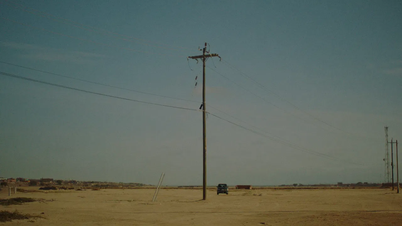 That Shadow Fading backdrop