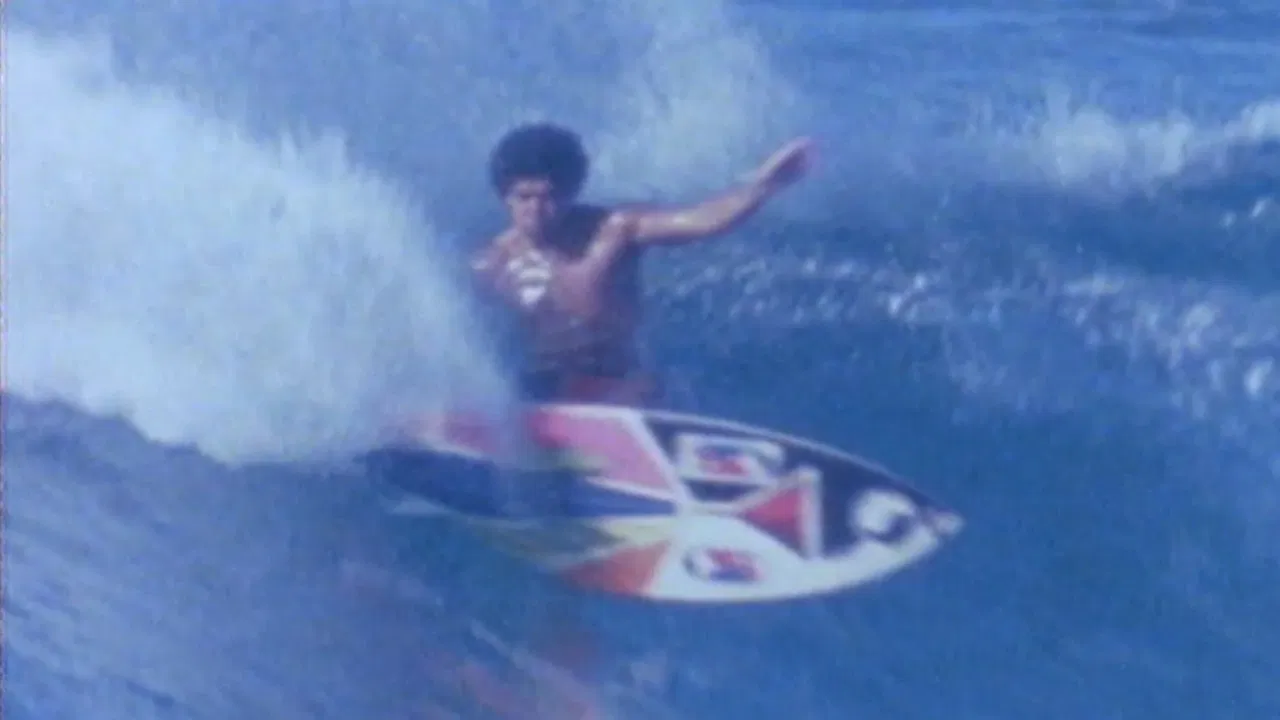 Follow the Sun backdrop