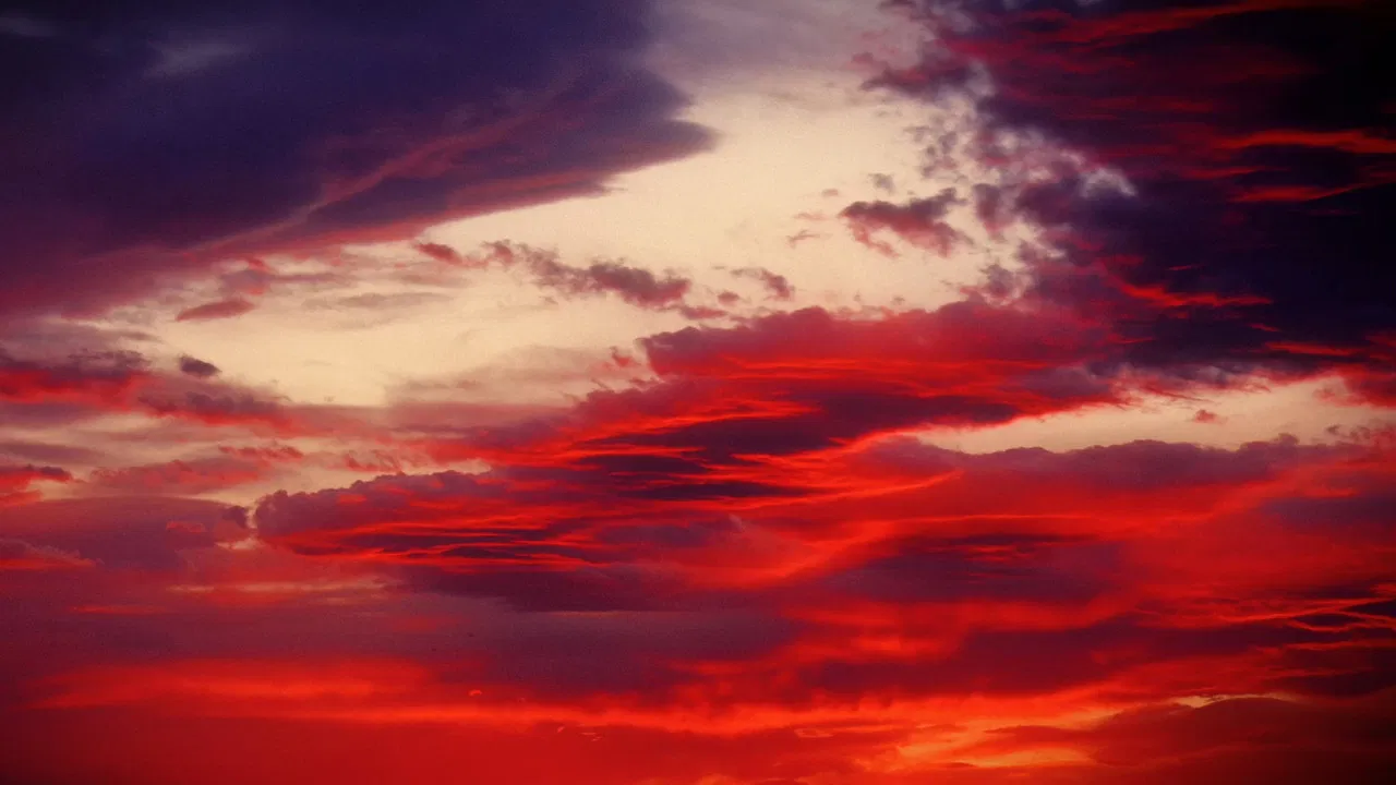The Lonely Summer of Eleftheria backdrop