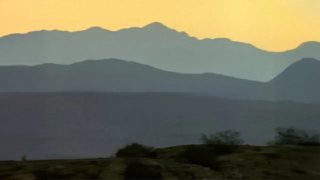 Dinosaurs Inside & Out backdrop