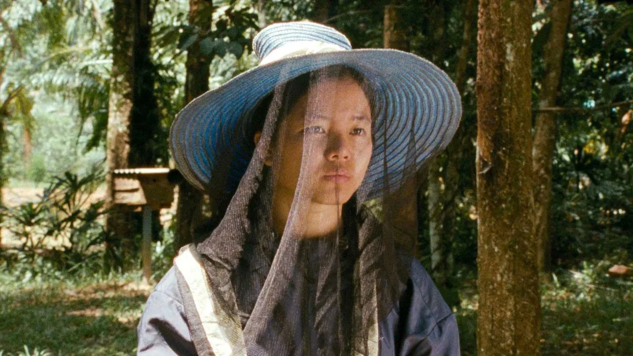 Krabi, 2562 backdrop