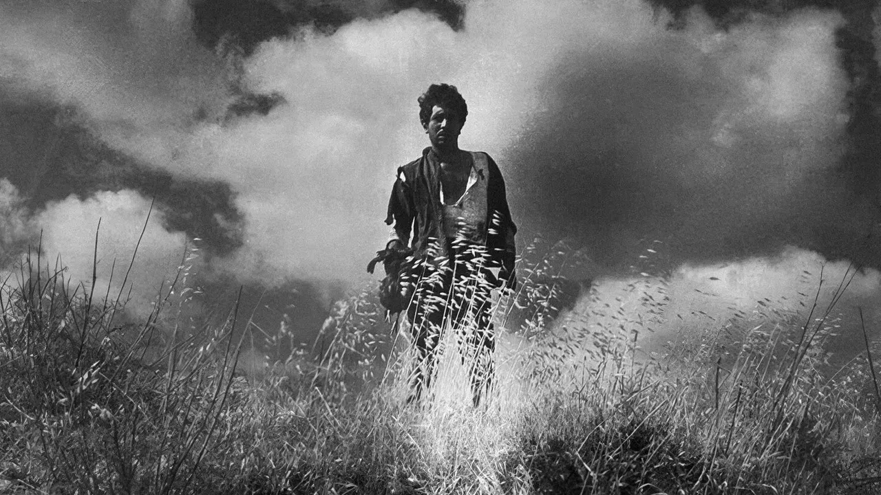 The Wheat and the Tares backdrop