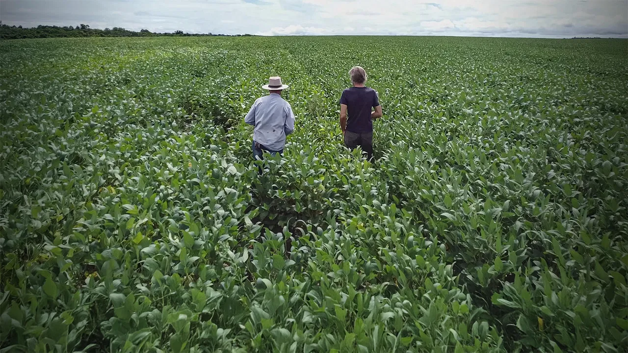 C'est pour demain backdrop