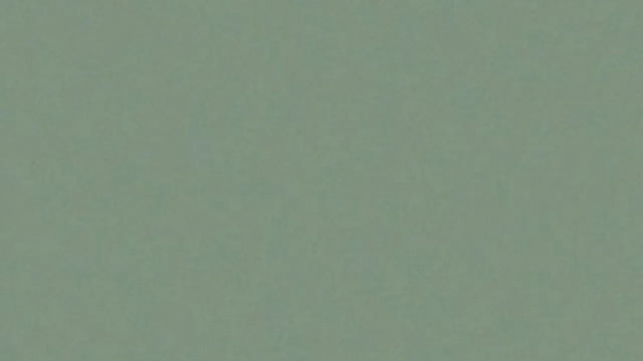 Gina Telaroli backdrop