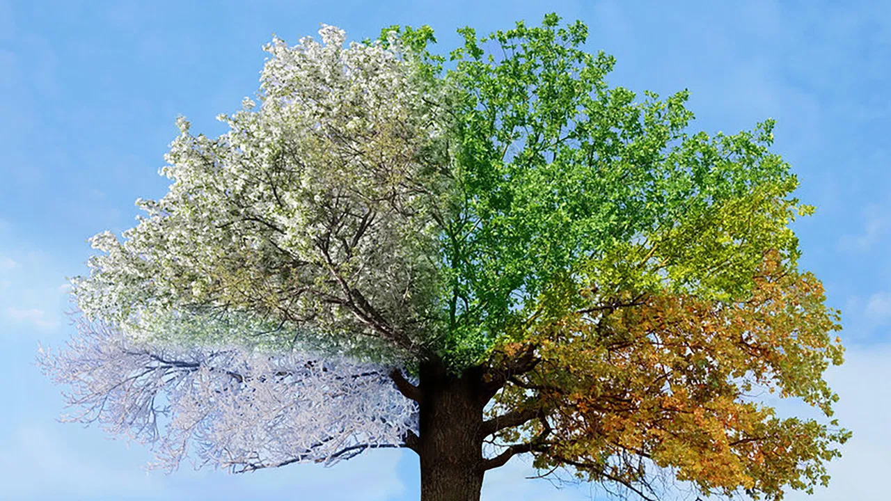 De Seizoenen backdrop