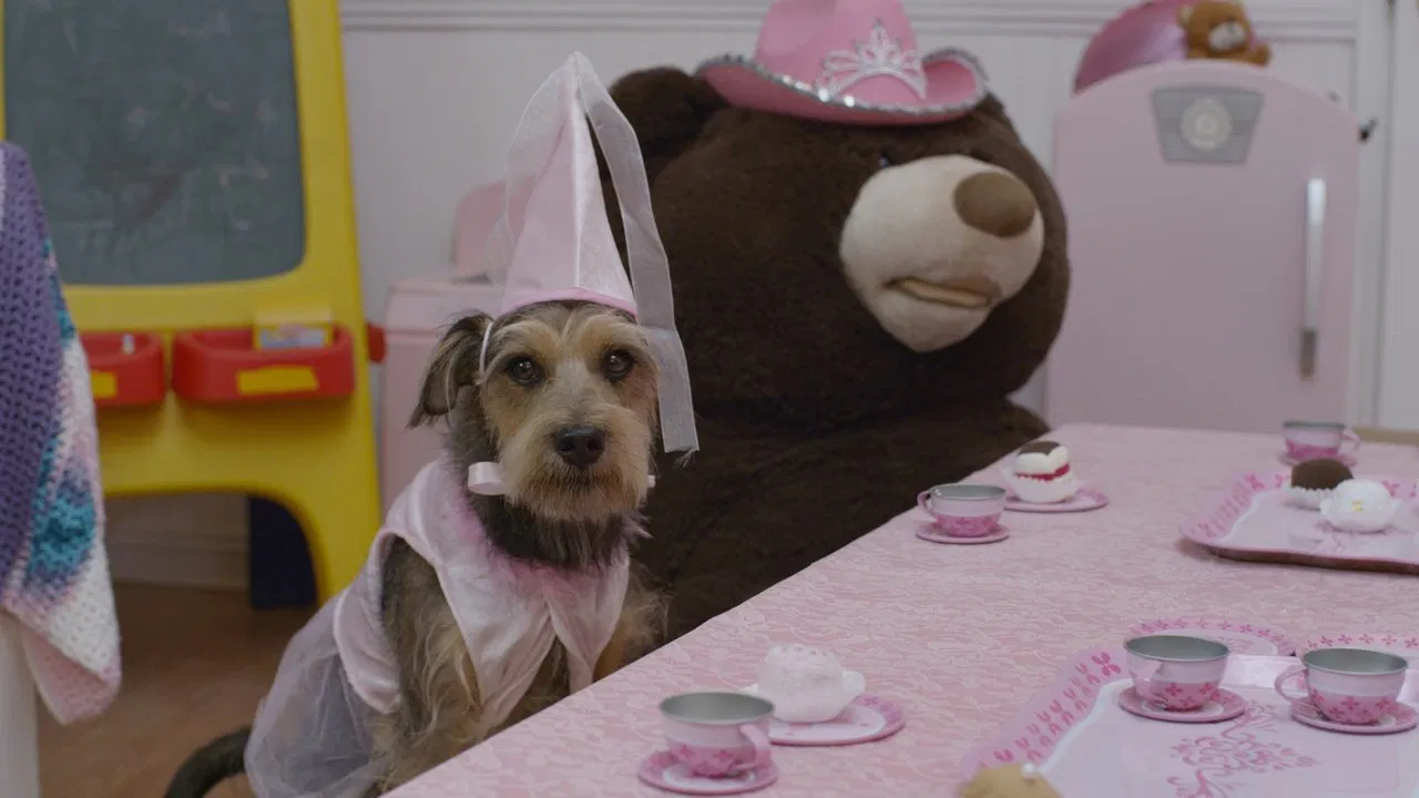 Robo-Dog: Airborne backdrop