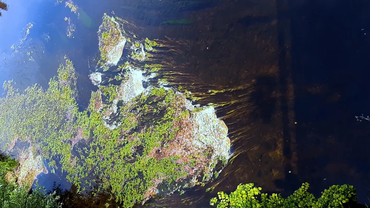 Between the valleys, between the hills. In the footsteps of the future sound of Slovakia. backdrop