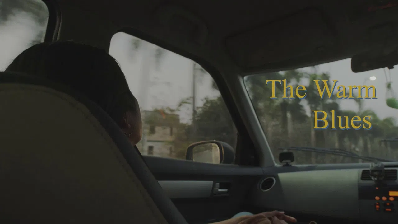 The Warm Blues backdrop