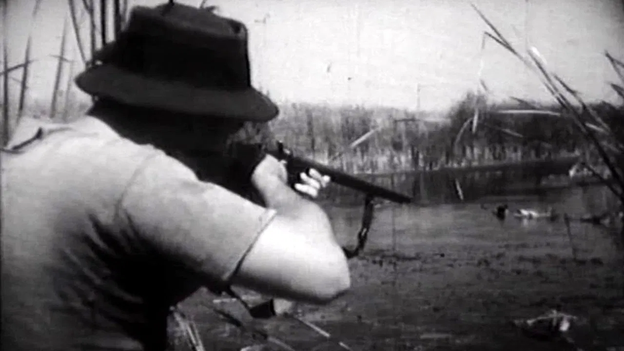 Flight Above the Marshes backdrop