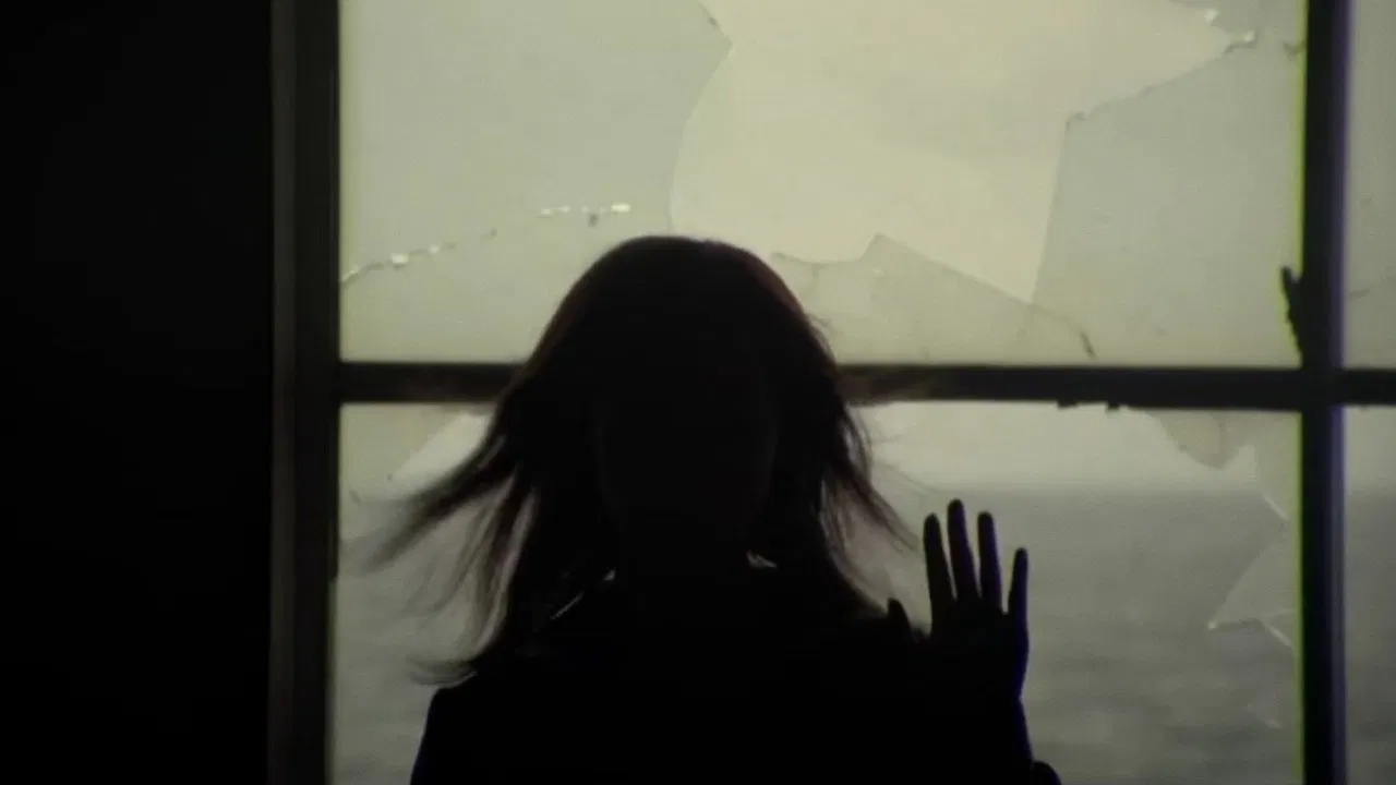 Noriko's Dinner Table backdrop