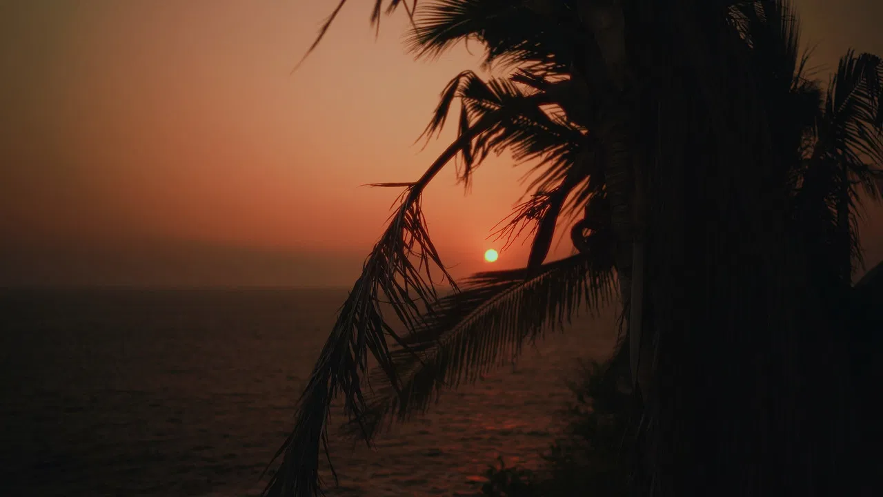 THE WEAPON OF SPEECH backdrop