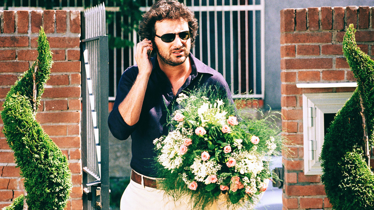 I Love You in All Languages of the World backdrop