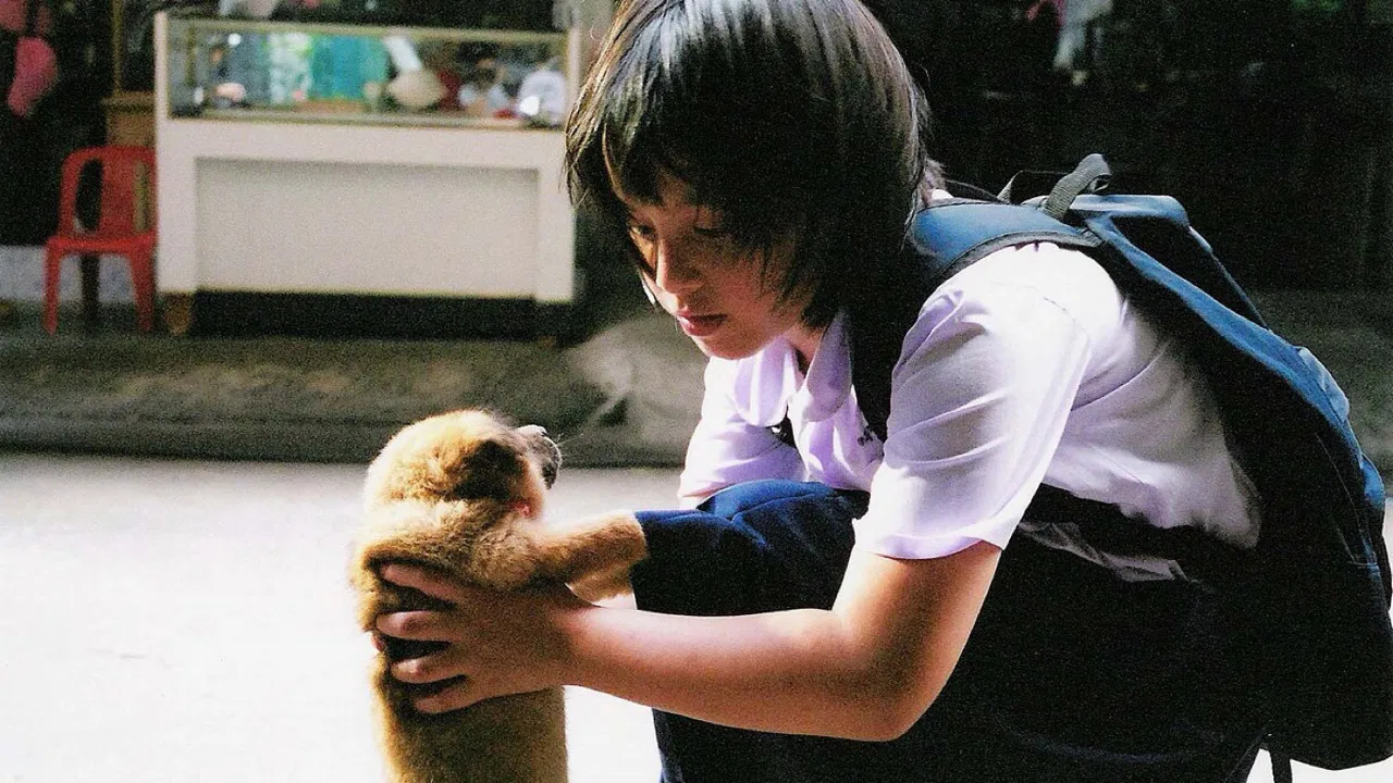 A Bite of Love backdrop