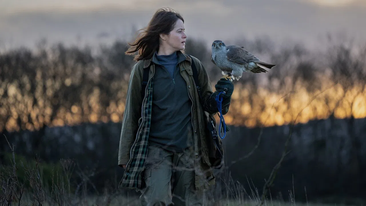 H Is for Hawk backdrop