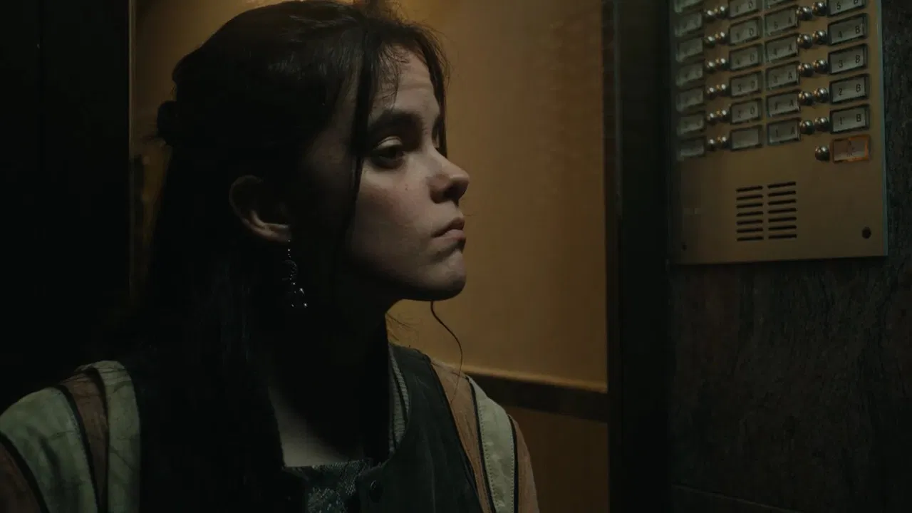 Here Lives Love backdrop