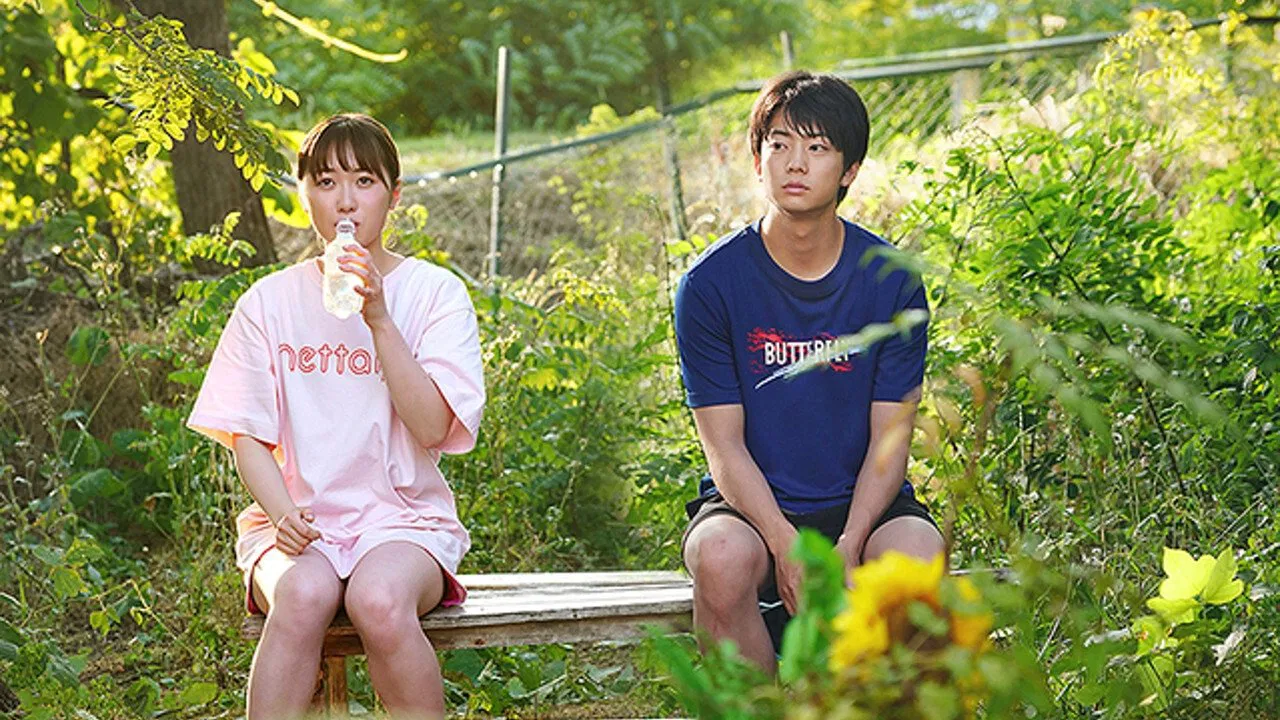 Climb Miss Kotera backdrop