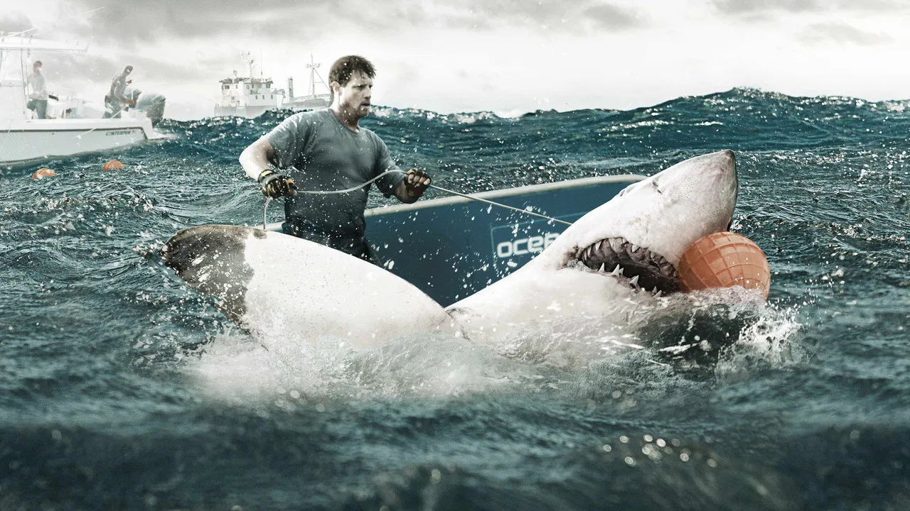 Shark Wranglers backdrop