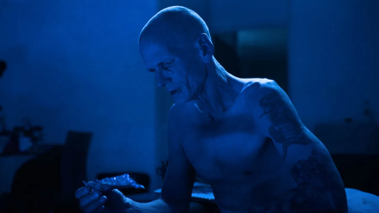 Paradise Morbid backdrop