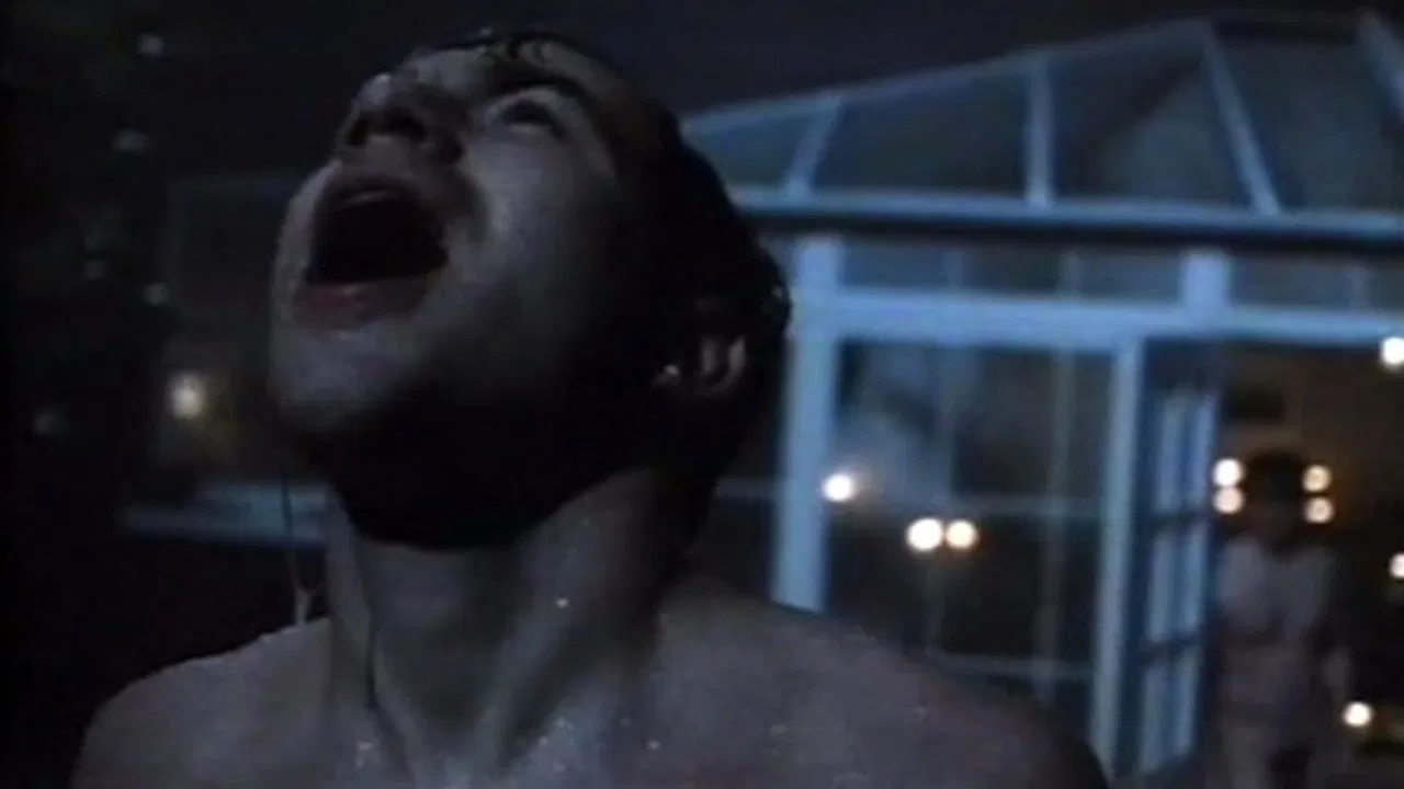 My Night with Reg backdrop