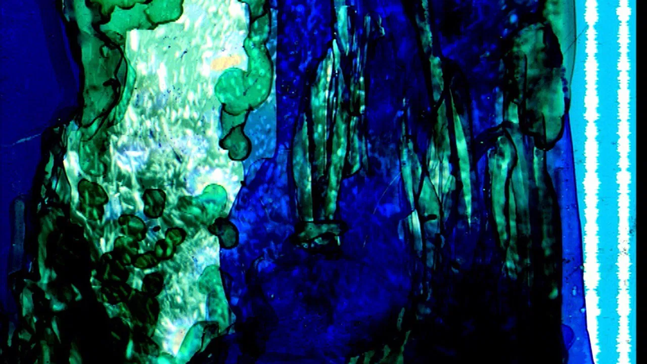 Jazz for a Massacre backdrop